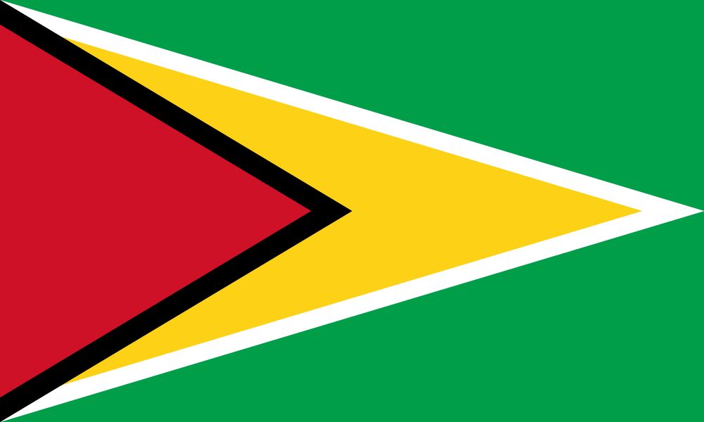 Guyanischen Flagge Abbildung Und Bedeutung Flagge Von Guyana Country Flags