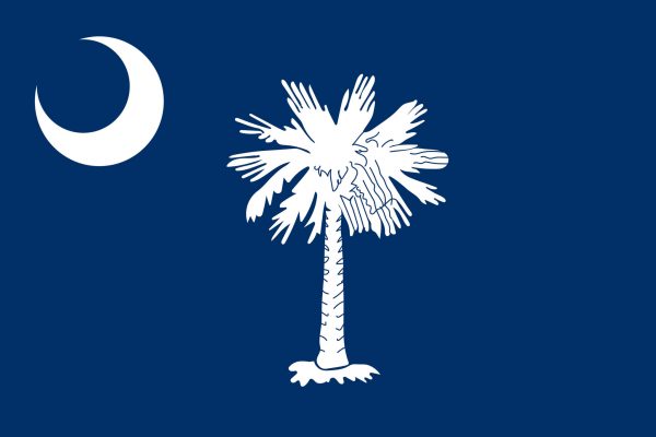 flag-of-south-carolina-image-and-meaning-south-carolina-flag-country